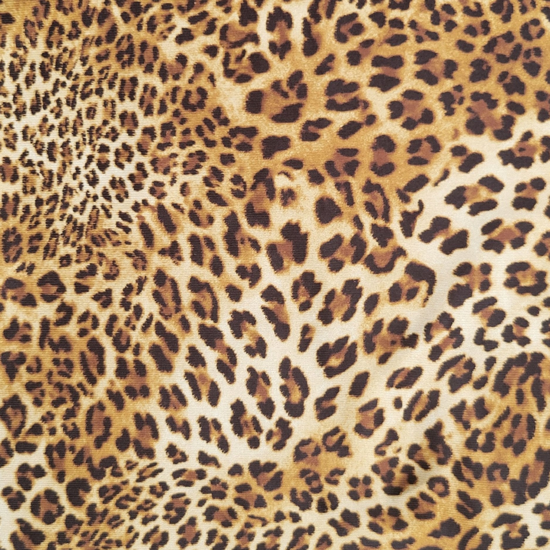 Wild Leopard  (Women's)-WSWLXL